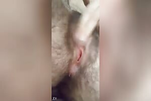 Hairy pussy asking for cock