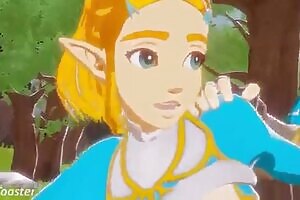 Zelda x Link