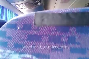 Leaked online, 18-year-old girl is caught sucking a porn star on the bus